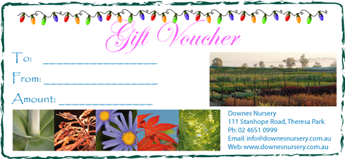 wholesale nursery plant voucher