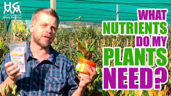 Understanding NPK Ratio for Plant Fertiliser Labels